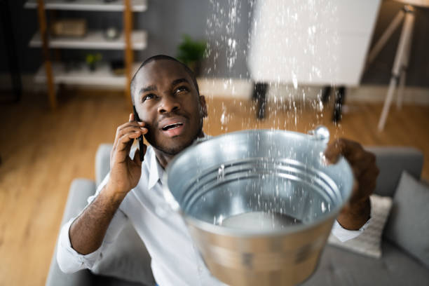 Best Plumbing Leak and Burst Pipe Cleanup in Hwatha, IA