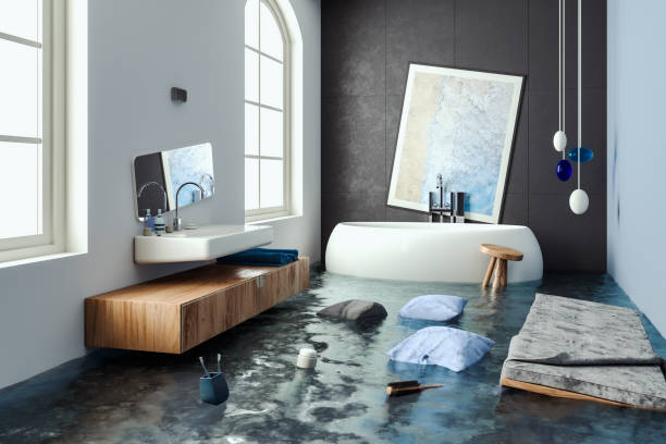 Best Carpet and Upholstery Water Damage Restoration in Hwatha, IA