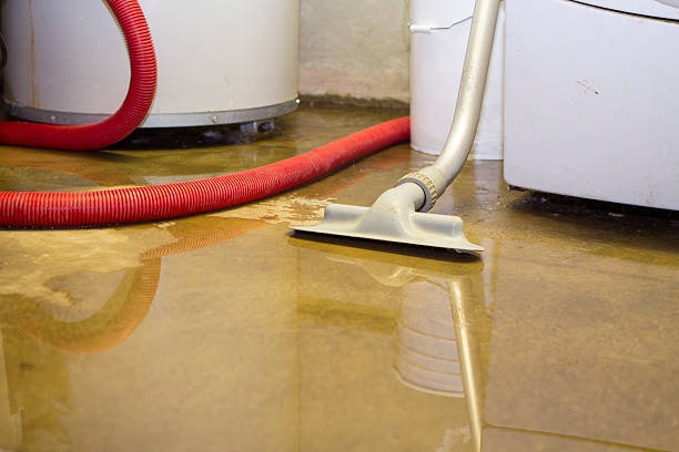 Best Commercial Water Damage Restoration in Hwatha, IA