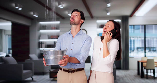 Best Wood Floor Water Damage Restoration in Hwatha, IA